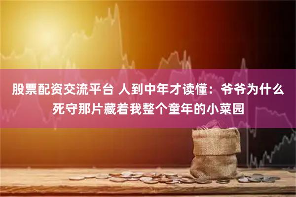 股票配资交流平台 人到中年才读懂：爷爷为什么死守那片藏着我整个童年的小菜园