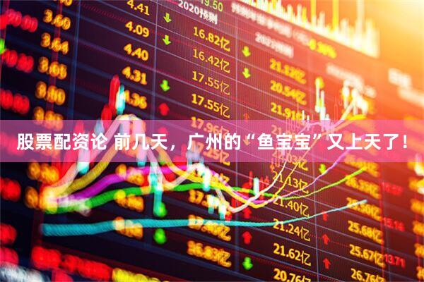 股票配资论 前几天，广州的“鱼宝宝”又上天了！