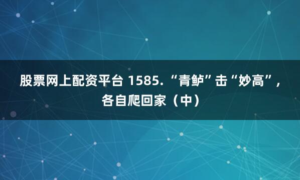 股票网上配资平台 1585. “青鲈”击“妙高”，各自爬回家（中）